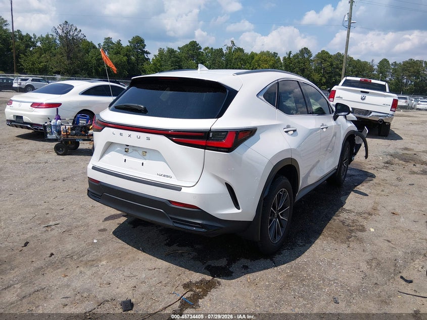 Vin: jtjgdcaz7r5016646, lot: 46233109, lexus nx 250 premium 20244