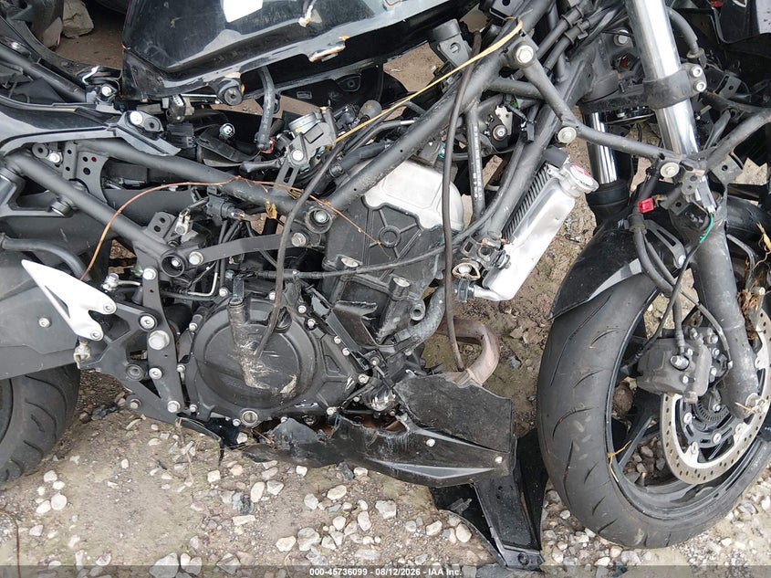 KAWASAKI EX500 2024