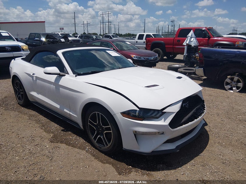 FORD MUSTANG - zdjęcie 1
