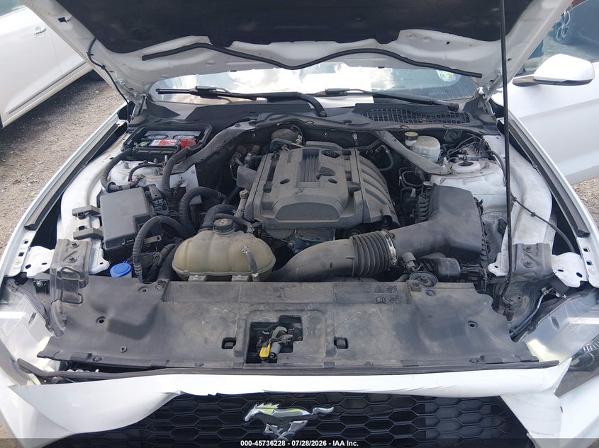 FORD MUSTANG - zdjęcie 10