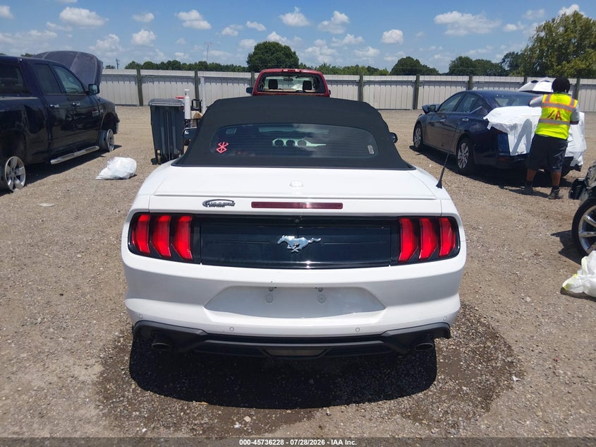 FORD MUSTANG - zdjęcie 16