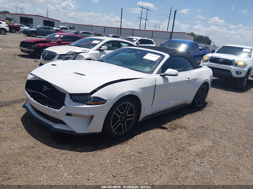 FORD MUSTANG - zdjęcie 2