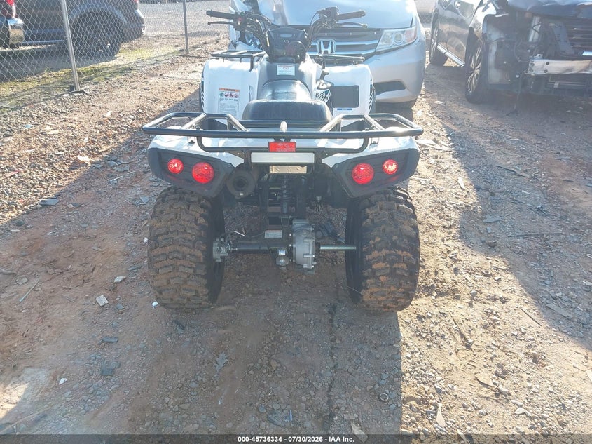 KAWASAKI KVF300 2022