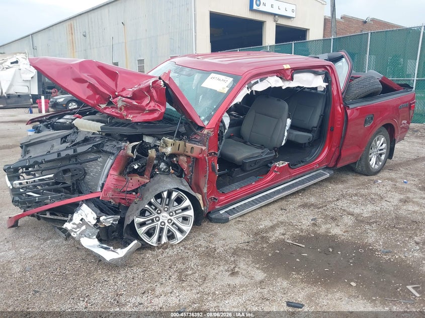 Vin: 1ftfw3l8xrkf33373, lot: 46235096, ford f-150 xlt 20242
