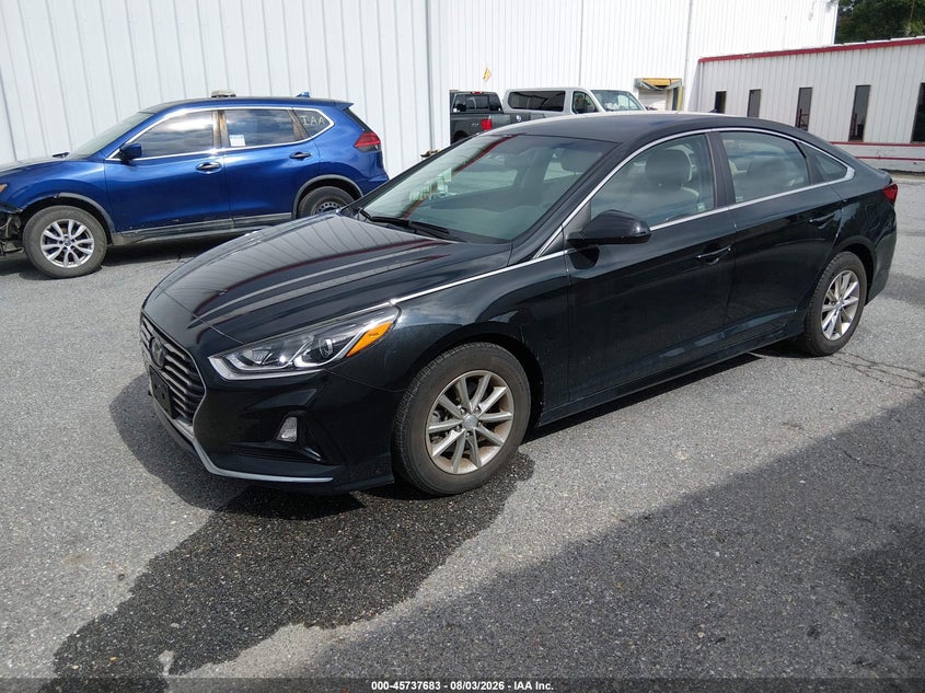 2019 HYUNDAI SONATA SEDAN 1.6L I-4 DI, DOHC, VVT, TURBO, 178HP