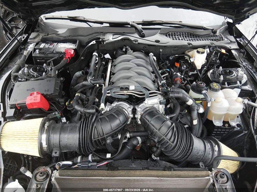 FORD MUSTANG 2024 VIN 1FA6P8CF8R5431356