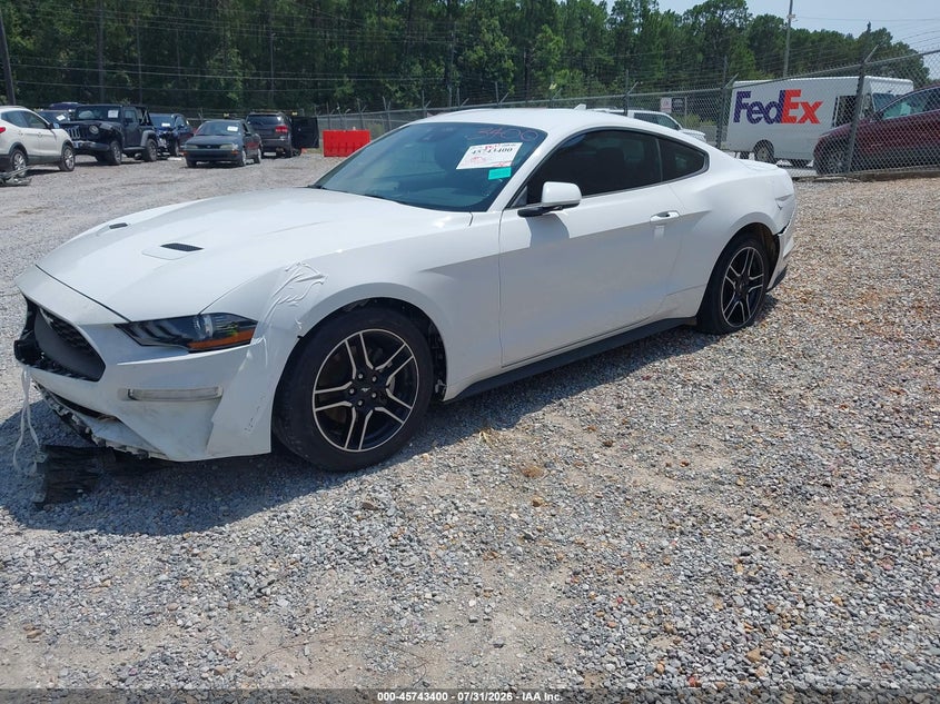 Vin: 1fa6p8th4p5110400, lot: 46242104, ford mustang ecoboost premium fastback 20232