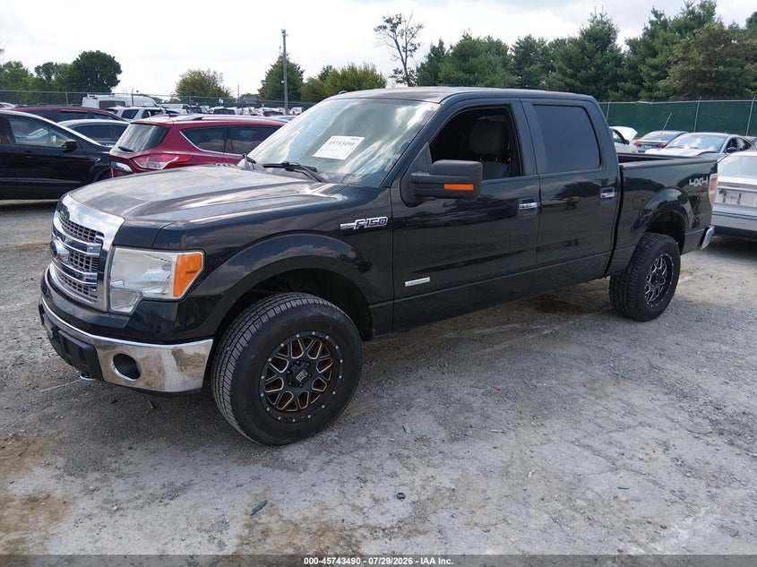 Vin: 1ftfw1et9dfd09650, lot: 46242194, ford f-150 xlt 20132