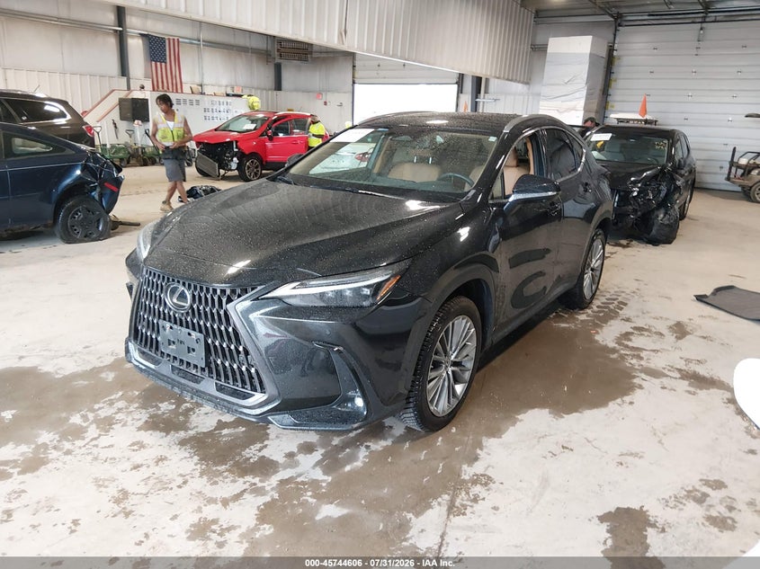 2022 LEXUS NX 350H auction photo 2