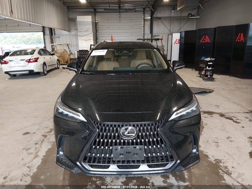 2022 LEXUS NX 350H auction photo 6