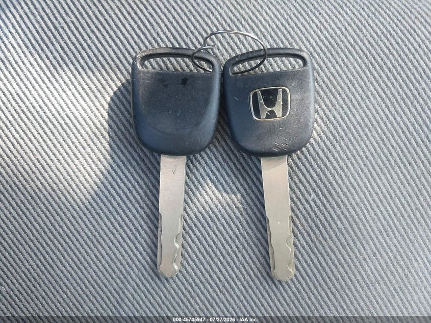 Nuotrauka 11