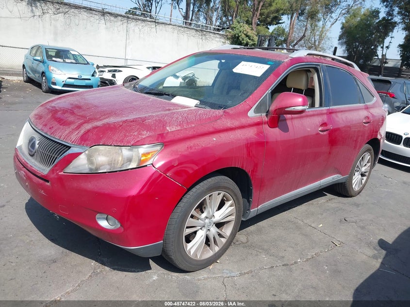 Vin: jtjbc1baxa2020898, lot: 46246126, lexus rx 450h 20102