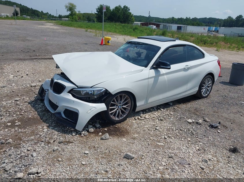 Vin: wba1g9c58gv598750, lot: 46246348, bmw 228i xdrive 20162