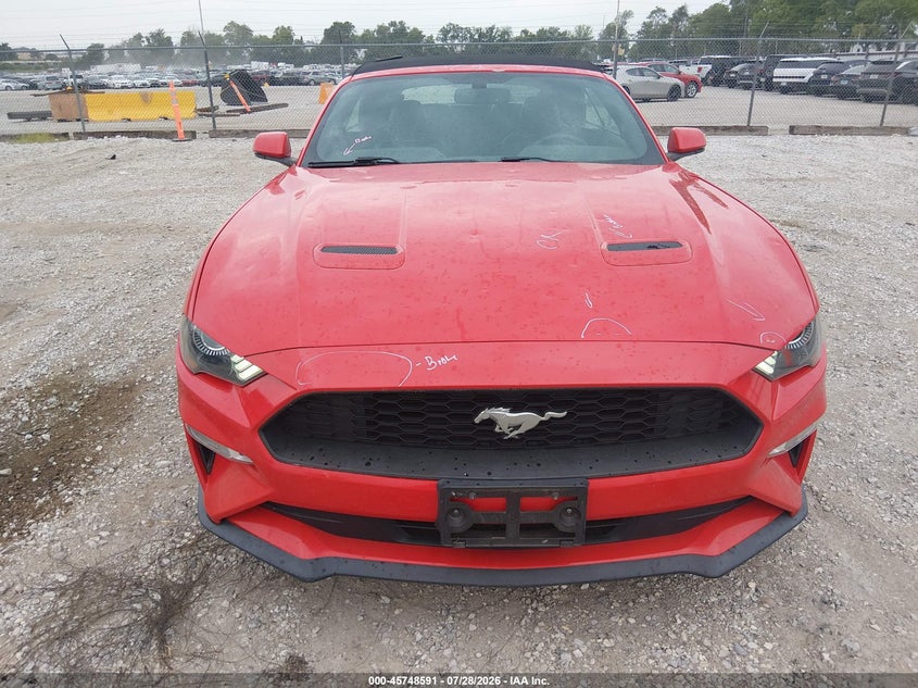 FORD MUSTANG - zdjęcie 12