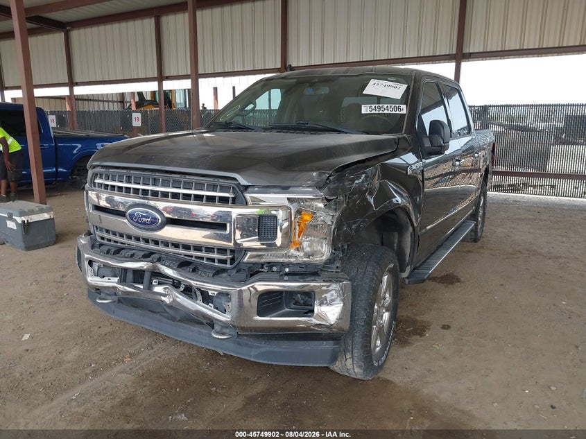 Vin: 1ftew1e43kkf00568, lot: 46248624, ford f-150 xlt 20192