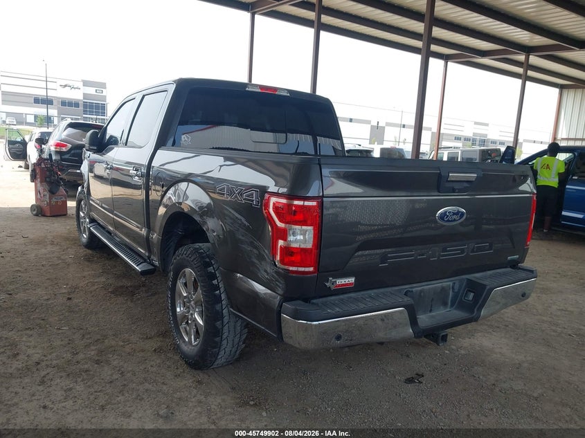 Vin: 1ftew1e43kkf00568, lot: 46248624, ford f-150 xlt 20193