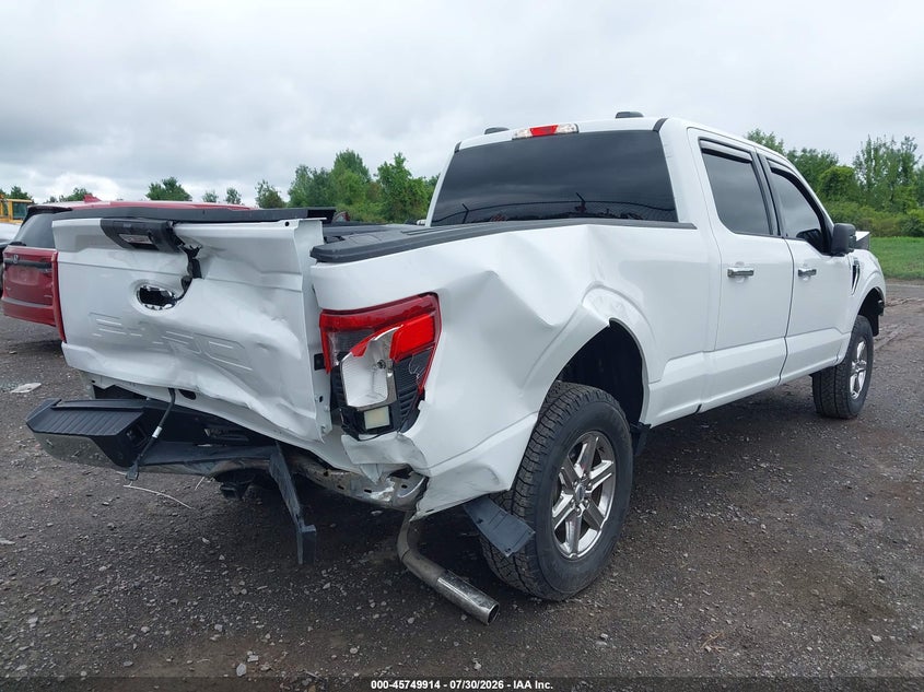 Vin: 1ftfw3l80rke05367, lot: 46248636, ford f-150 xlt 20244