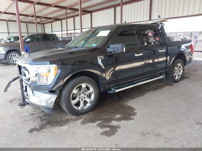 Vin: 1ftfw1e51nke75493, lot: 46248897, ford f-150 xlt 20222