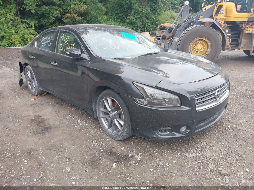 Vin: 1n4aa5ap5ac804052, lot: 46249073, nissan maxima 3.5 sv 2010 img_1