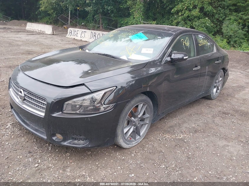 2010 Nissan Maxima, Неизвестно, IAAI, VIN 1N4AA5AP5AC804052 — фото 2