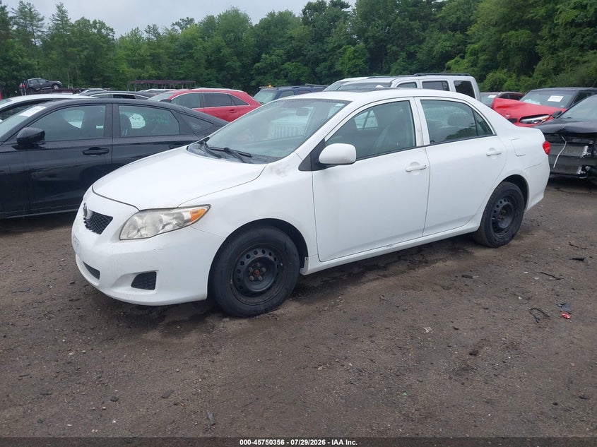 Vin: 2t1bu4ee3ac331641, lot: 46249078, toyota corolla le 20102