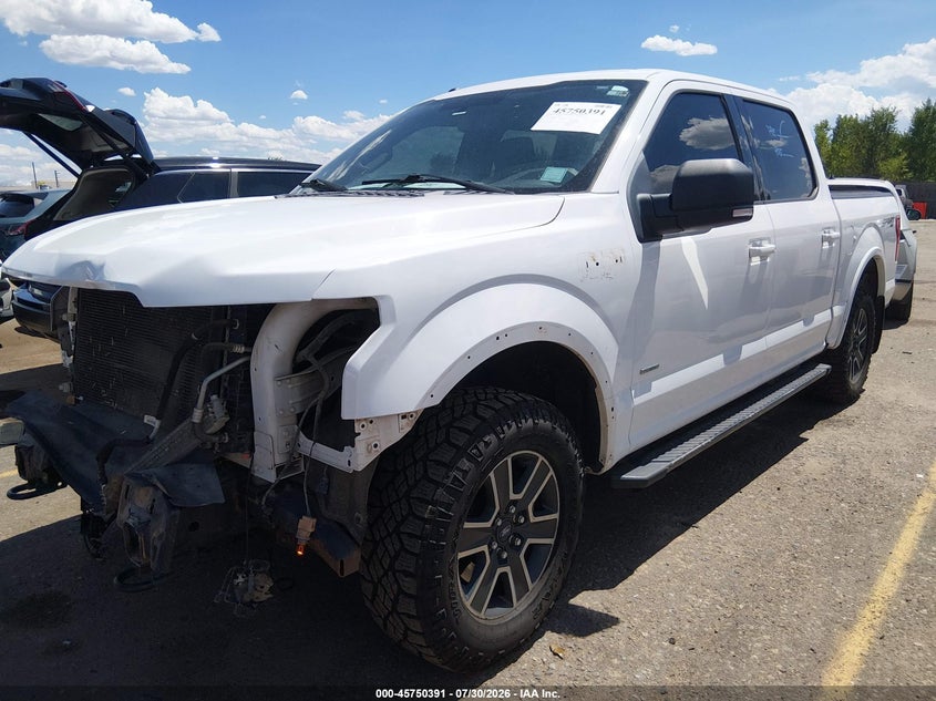 Vin: 1ftew1ep5gkf04073, lot: 46249113, ford f-150 xlt 20162