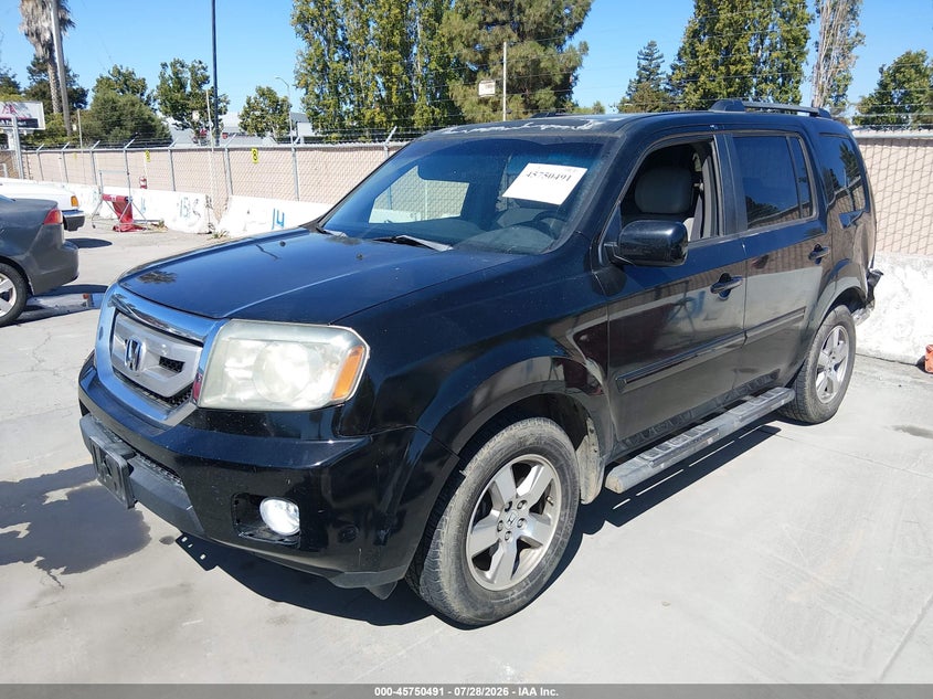 Vin: 5fnyf3h5xab017846, lot: 46249213, honda pilot ex-l 20102