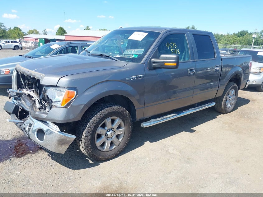 Vin: 1ftfw1ef5dfc08762, lot: 46254440, ford f-150 xlt 20132