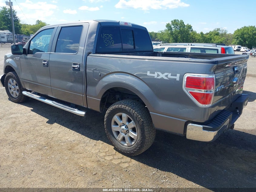 Vin: 1ftfw1ef5dfc08762, lot: 46254440, ford f-150 xlt 20133