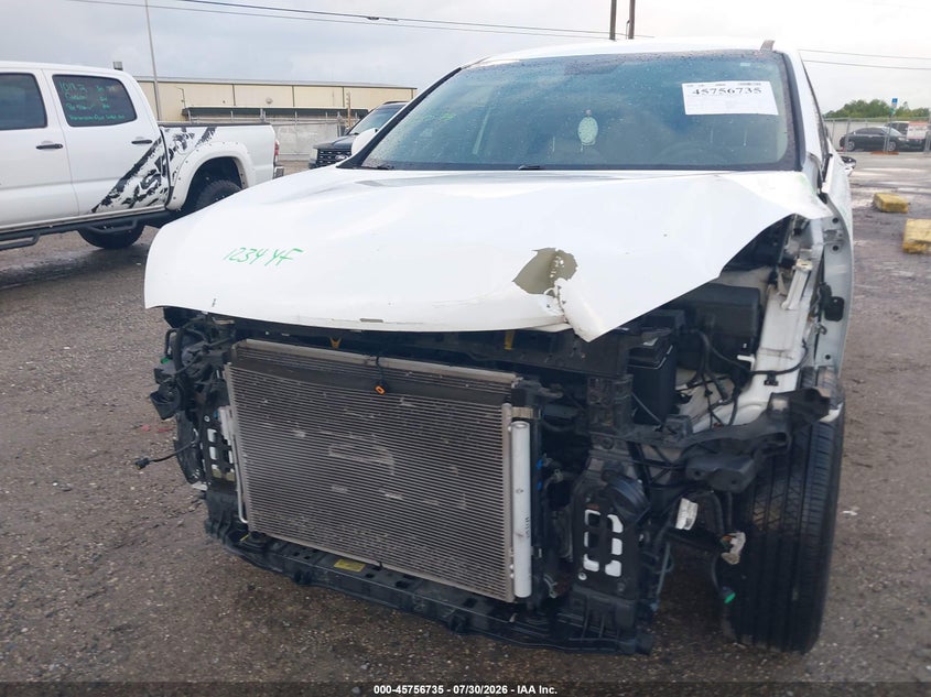 2019 KIA SORENTO auction photo 6