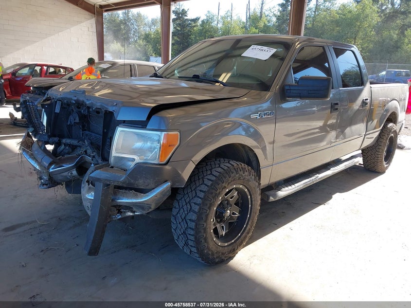 Vin: 1ftfw1ev0afc38223, lot: 46257259, ford f-150 fx4/harley-davidson/king ranch/lariat/platinum/xl/xlt 20102
