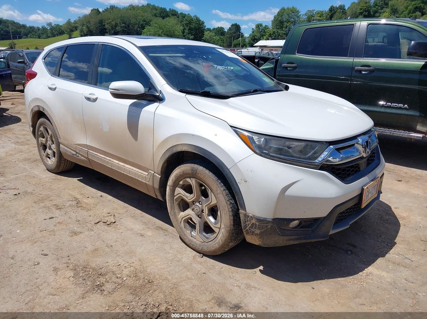 Vin: 2hkrw2h54kh618123, lot: 46257570, honda cr-v ex 2019 img_1