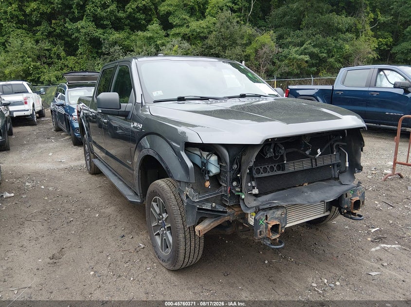 2016 FORD F-150 auction photo 1
