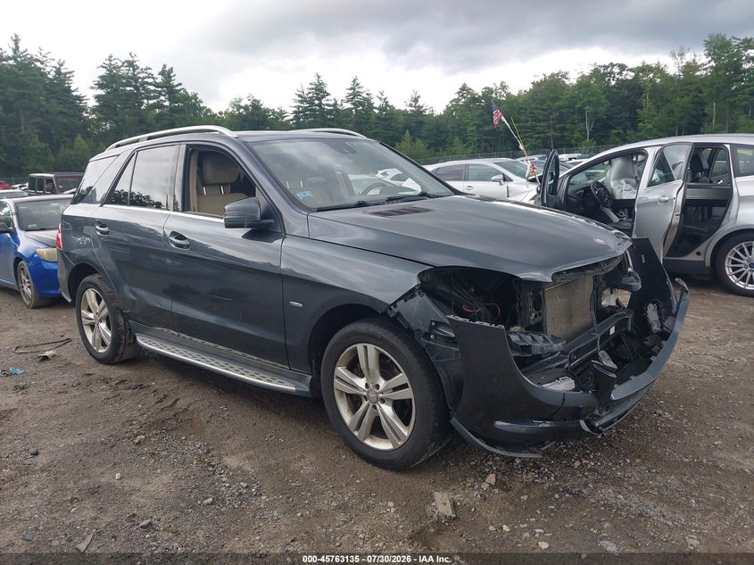 Vin: 4jgda5hb7ca028681, lot: 46261884, mercedes-benz ml 350 4matic 2012 img_1