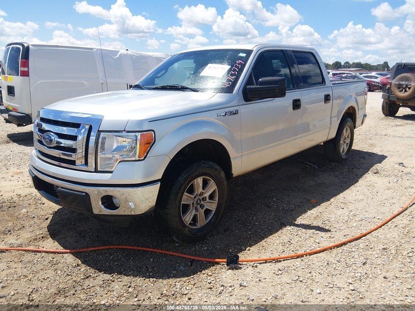 Vin: 1ftfw1cf7bfb58446, lot: 46262488, ford f-150 xlt 20112