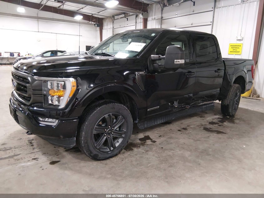 Vin: 1ftfw1ed2pfb31481, lot: 46265600, ford f-150 xlt 20232