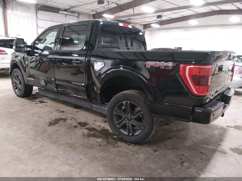 Vin: 1ftfw1ed2pfb31481, lot: 46265600, ford f-150 xlt 20233