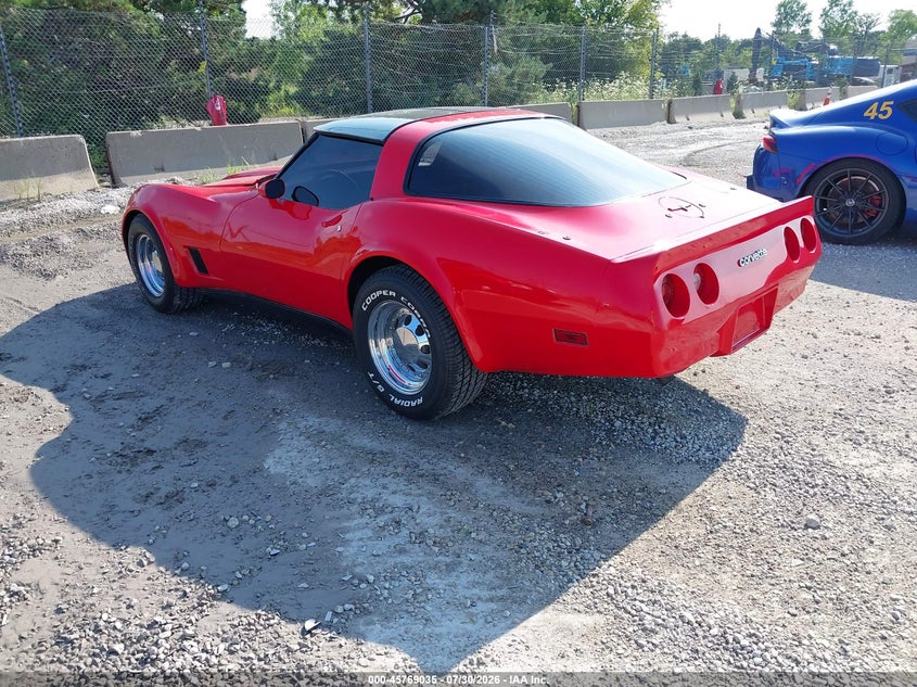 1981 CHEVROLET CORVETTE — zdjęcie 3
