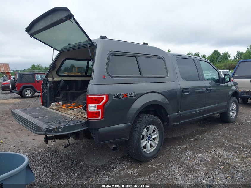 Vin: 1ftew1e49kfc12207, lot: 46270215, ford f-150 xlt 20194