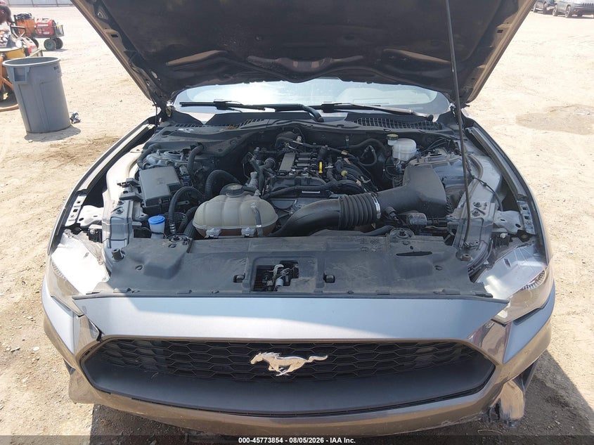 FORD MUSTANG - zdjęcie 10