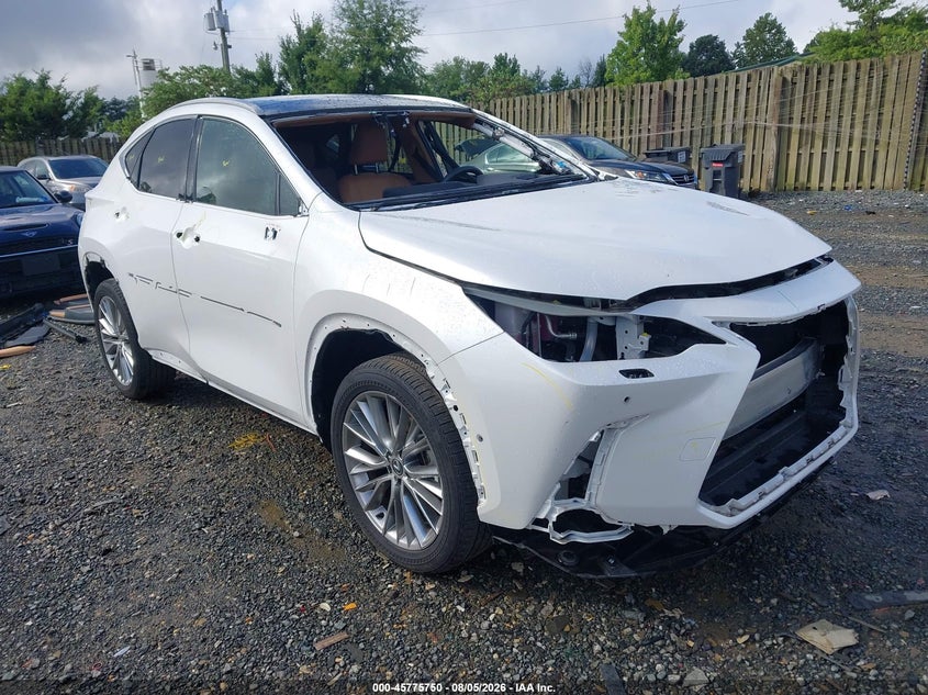 Vin: 2t2hgcez4sc061332, lot: 46274530, lexus nx 350 luxury 2025 img_1