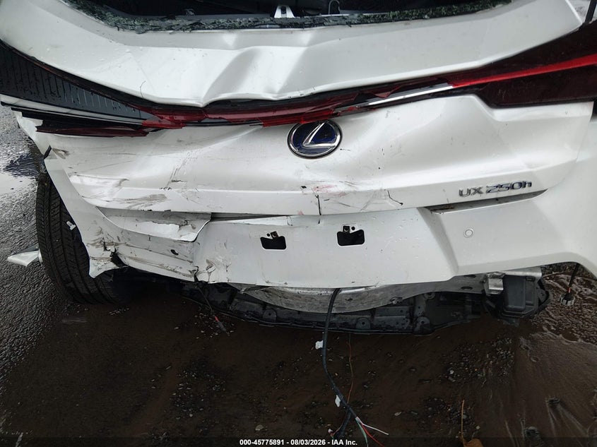 2022 LEXUS UX 250H auction photo 6
