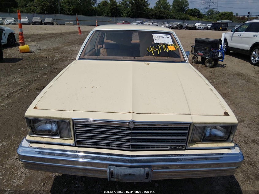 1979 CHEVROLET MALIBU auction photo 6