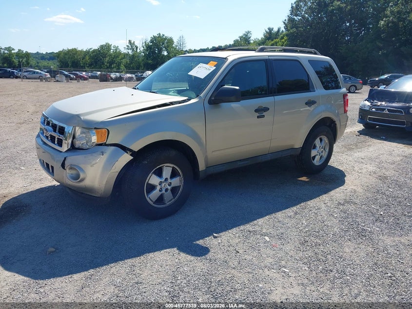 Vin: 1fmcu0dg8akc28984, lot: 46276319, ford escape xlt 20102