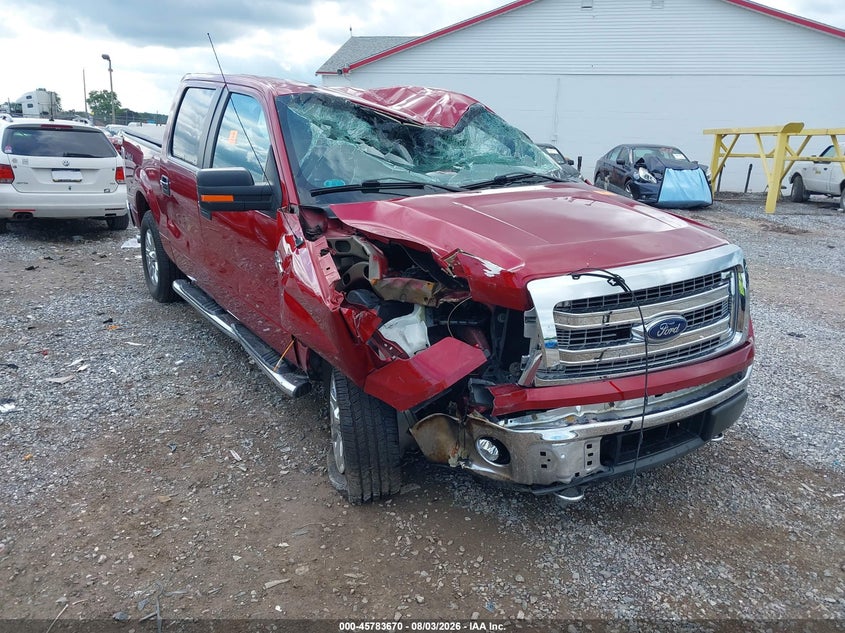 Vin: 1ftfw1ef5efb54834, lot: 46282493, ford f-150 xlt 2014 img_1