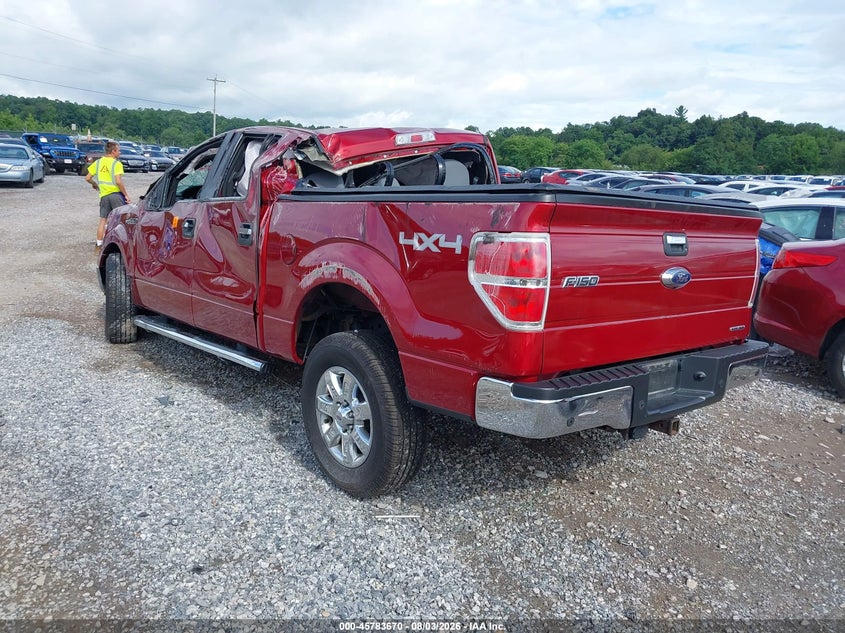 Vin: 1ftfw1ef5efb54834, lot: 46282493, ford f-150 xlt 20143