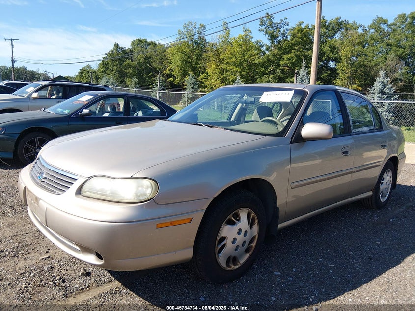 1998 Chevrolet Malibu, Обычный износ, IAAI, VIN 1G1ND52T8WY122848 — фото 2