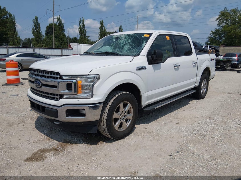 Vin: 1ftew1e40kke14246, lot: 46283960, ford f-150 xlt 20192