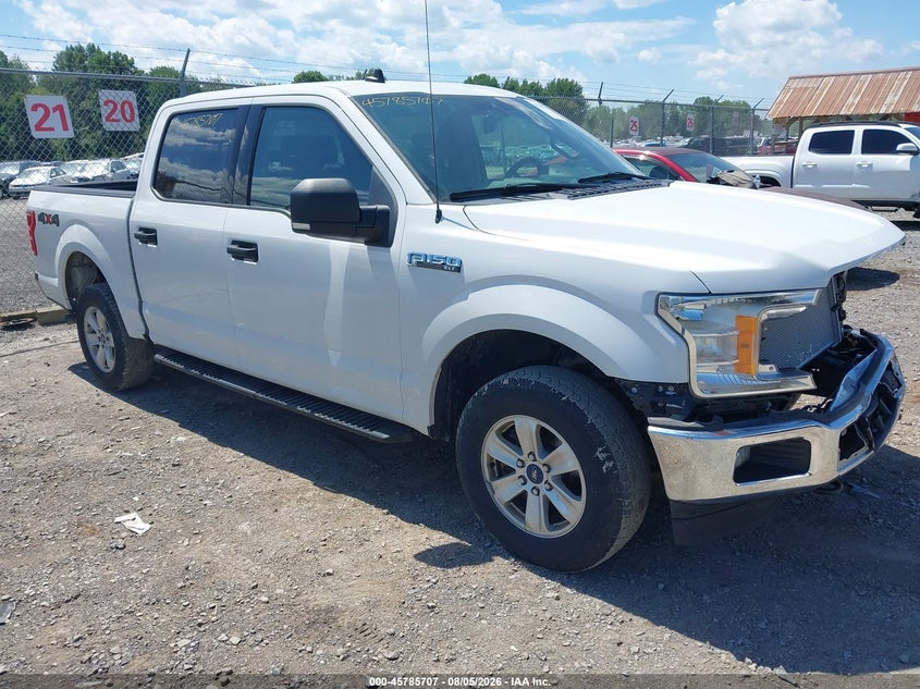 Vin: 1ftew1e53kfb69797, lot: 46284531, ford f-150 xlt 2019 img_1