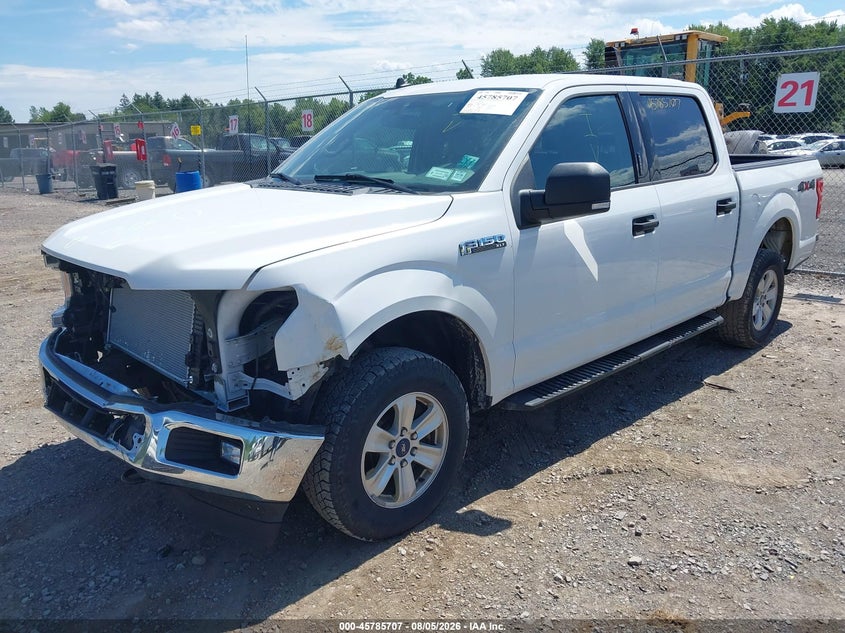 Vin: 1ftew1e53kfb69797, lot: 46284531, ford f-150 xlt 20192